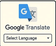 next-google-translate-widget